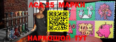 apvp Можга